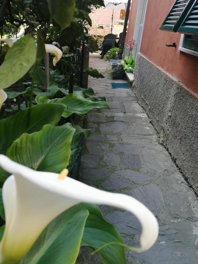 Apartament A Ca Du Barba Monterosso al Mare Zewnętrze zdjęcie